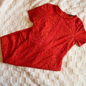 Burnt Orange Warehouse Lace Dress Size 10